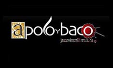 www.apoloybaco.com